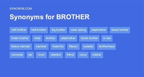 bro synonyms